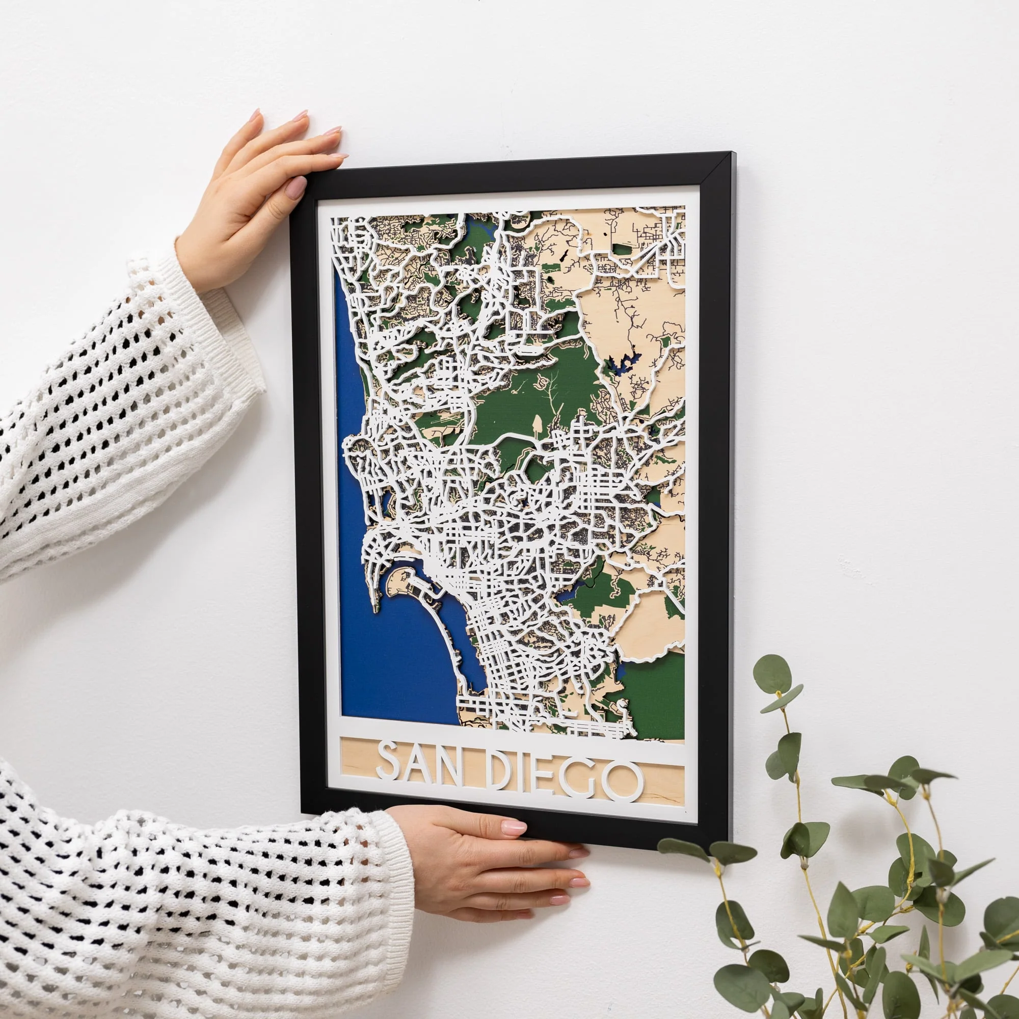 3D City Map San Diego