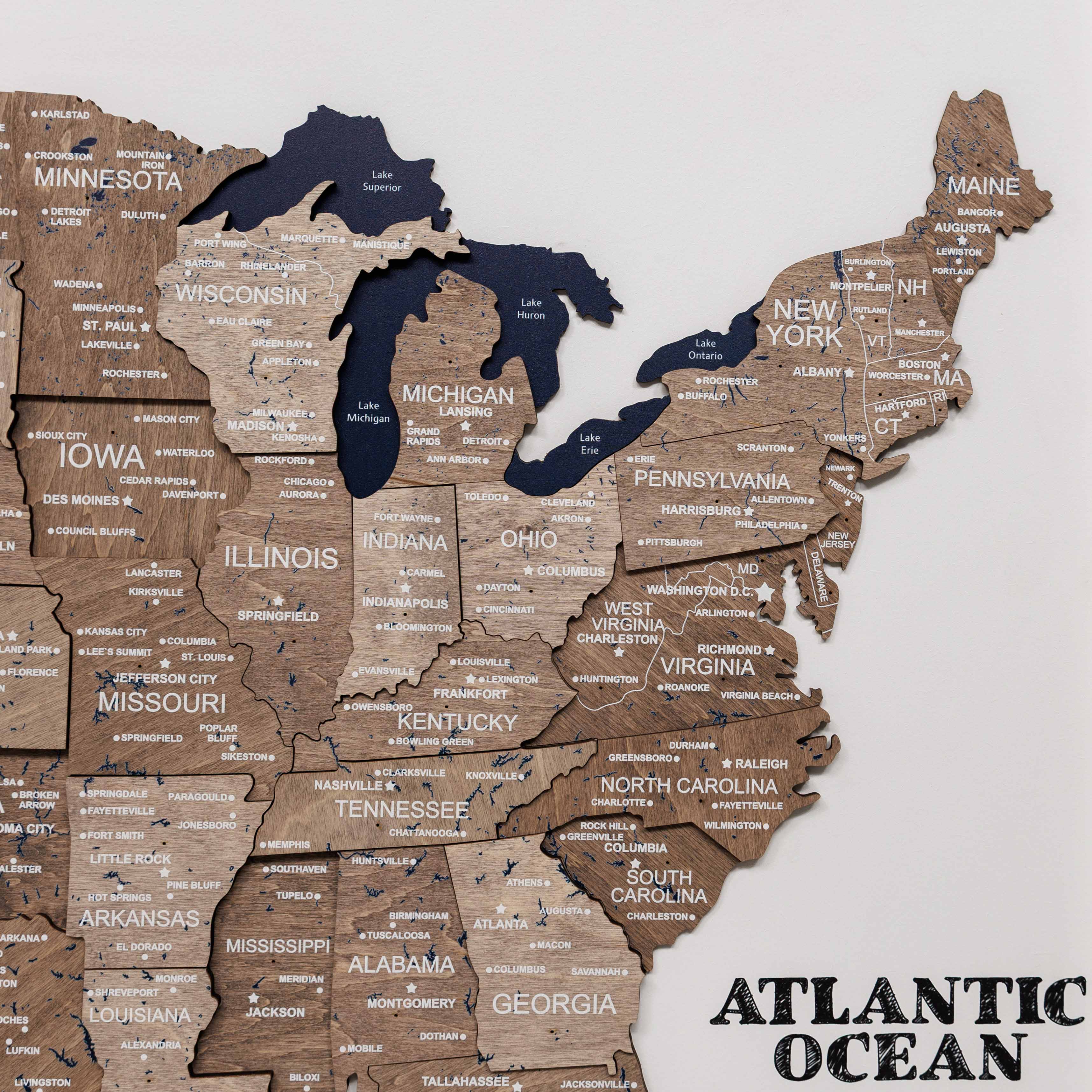 3D Wooden USA Map on Board - Terra - Image 5