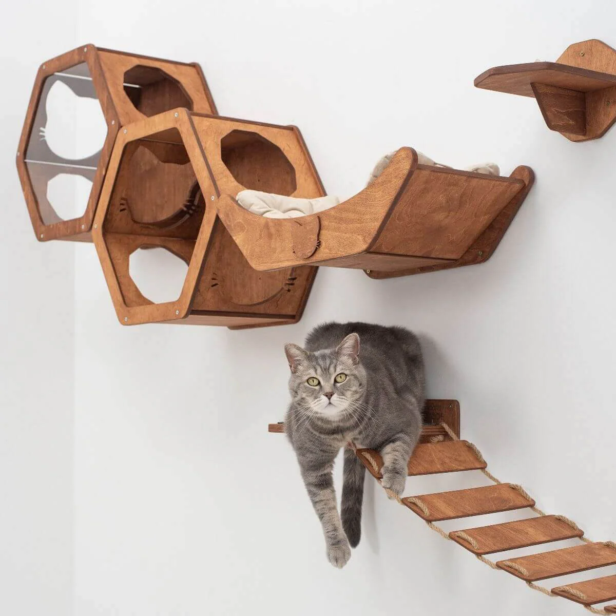 Floating Cat Shelf Perch Oak - Image 3