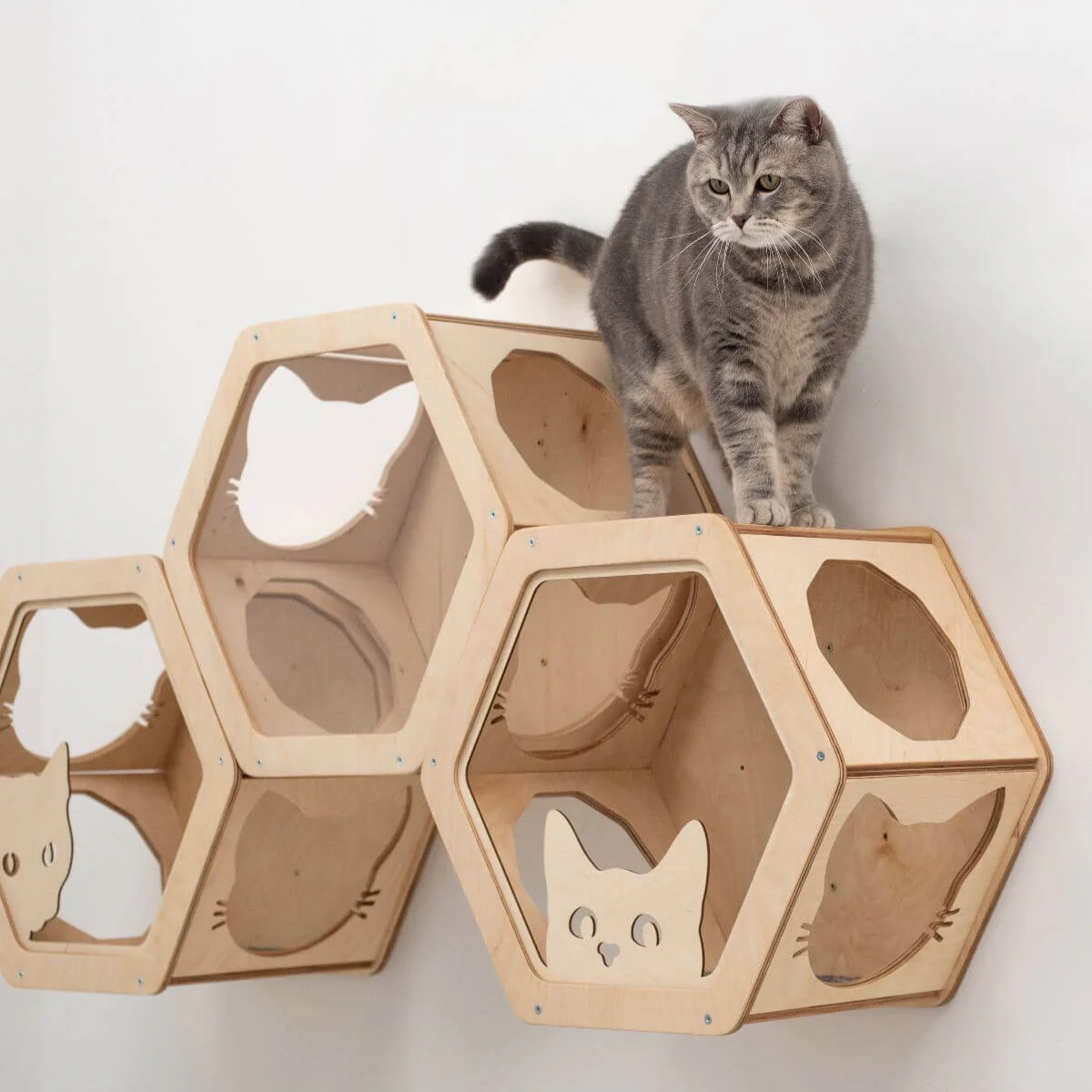 Honeycomb Cat Shelves Light - Image 3