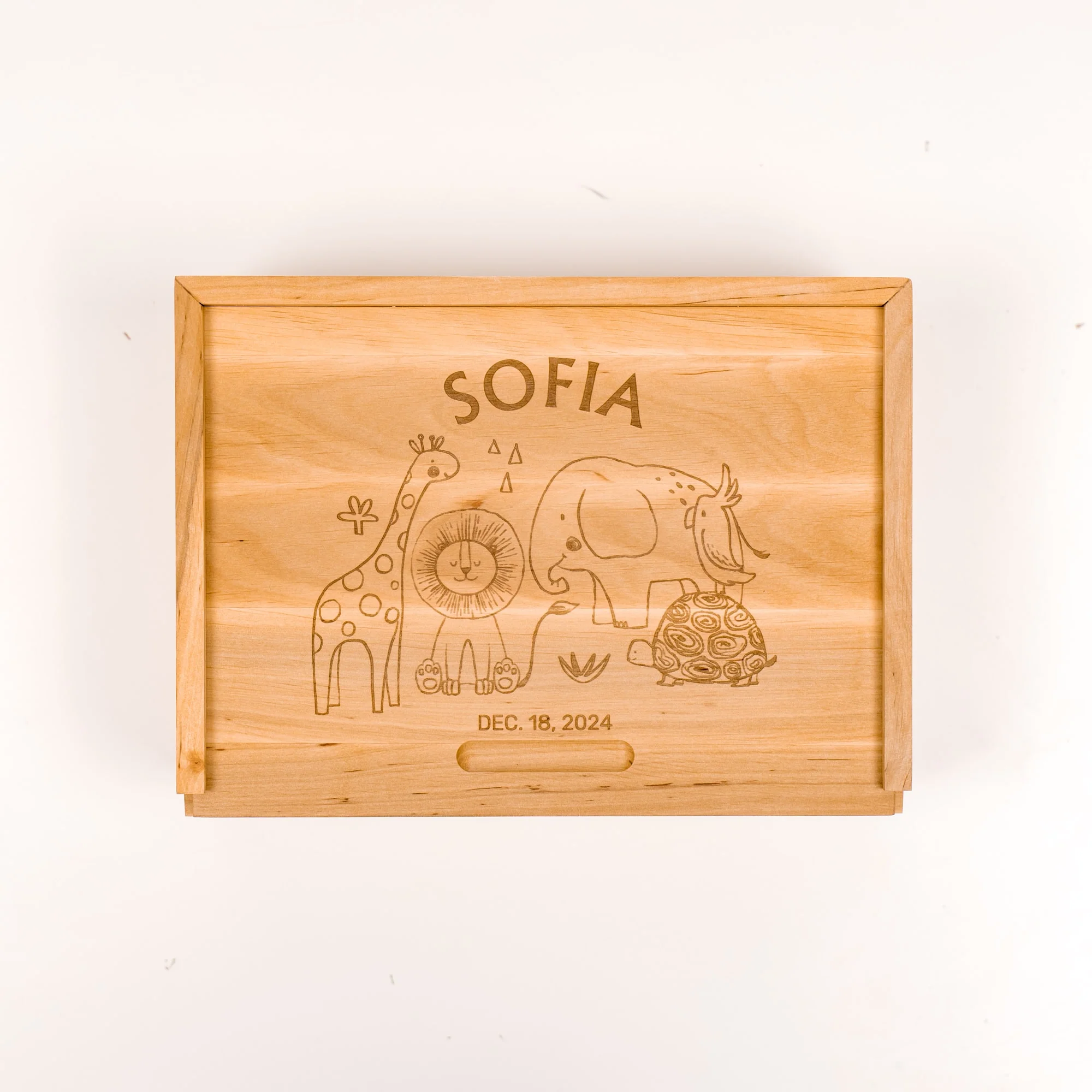 Kids Memory Box - Safari - Image 6