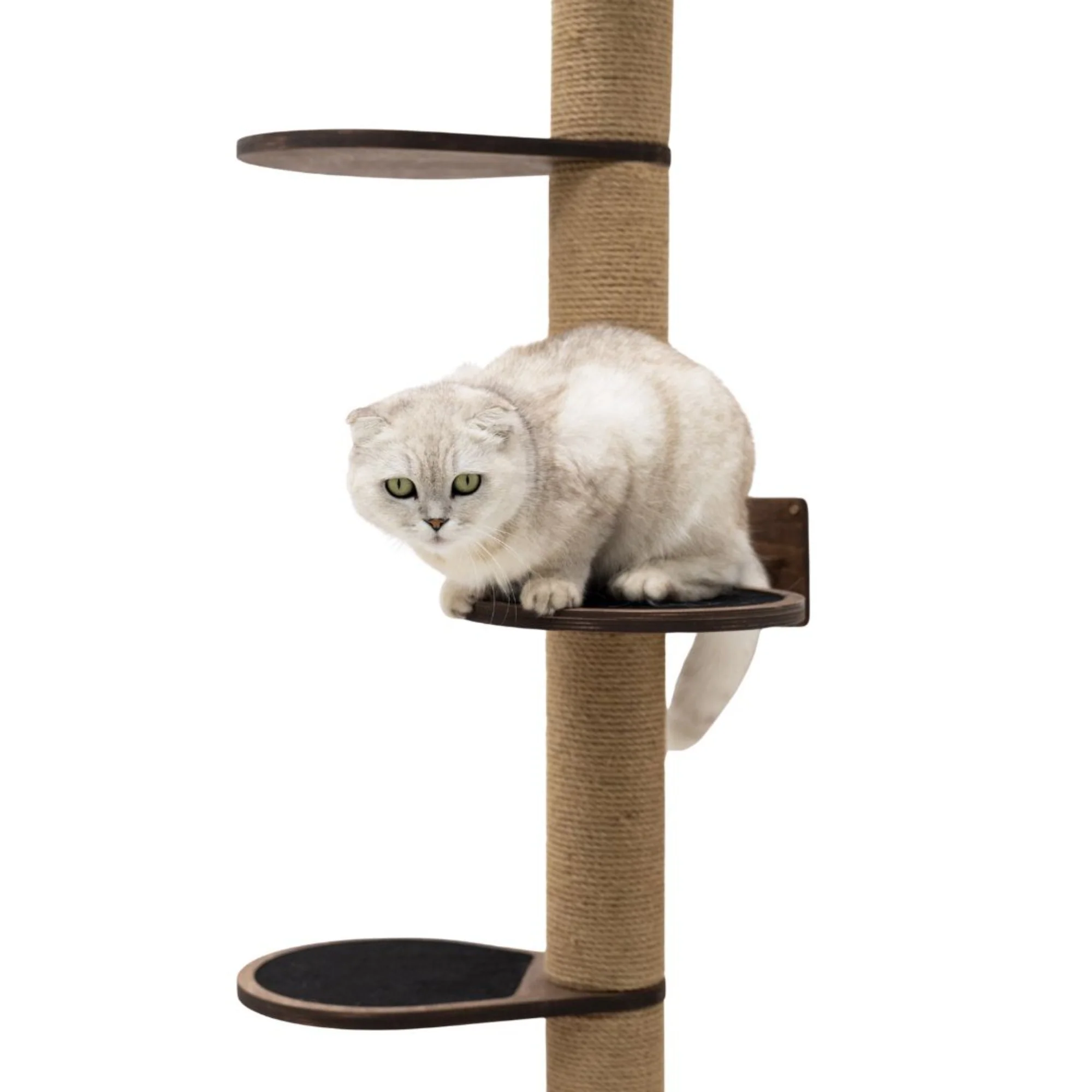 Large Cat Tree – Dark Walnut - Image 5