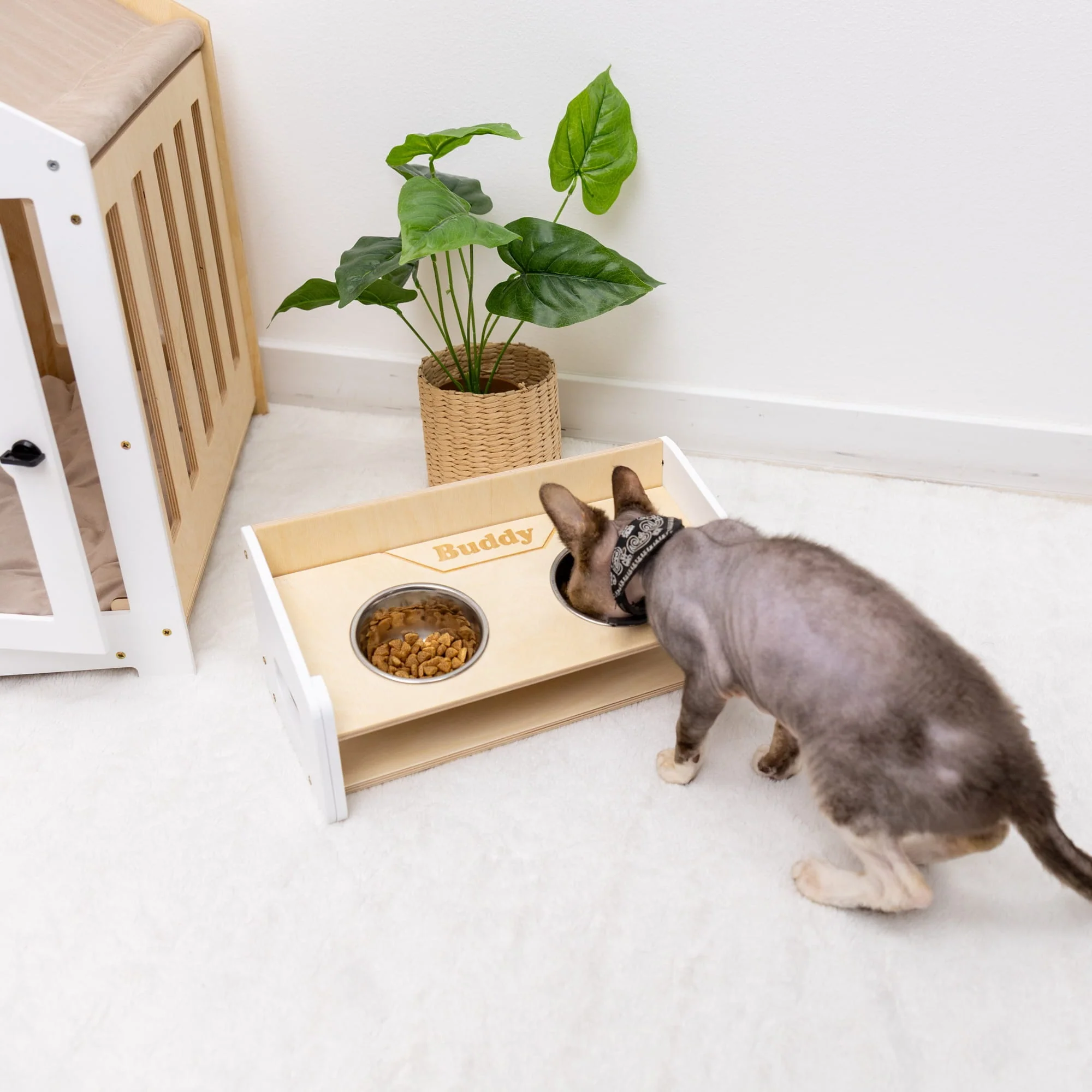 Pet Bowl Stand - Angled - Image 8