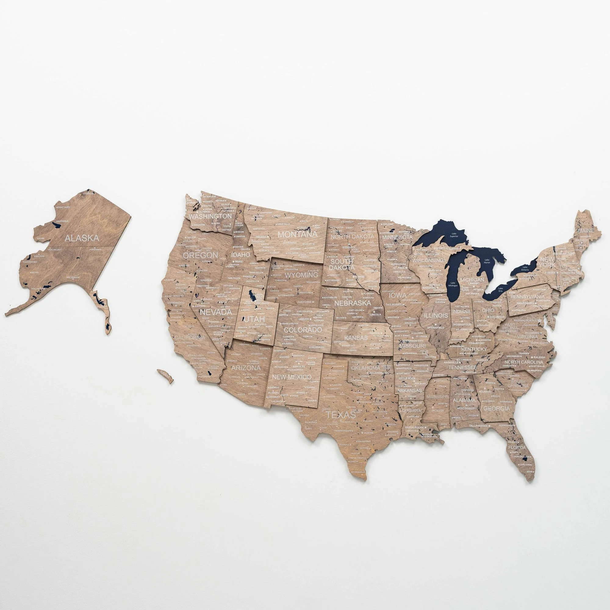Wooden 3d Map of USA - Terra - Image 3