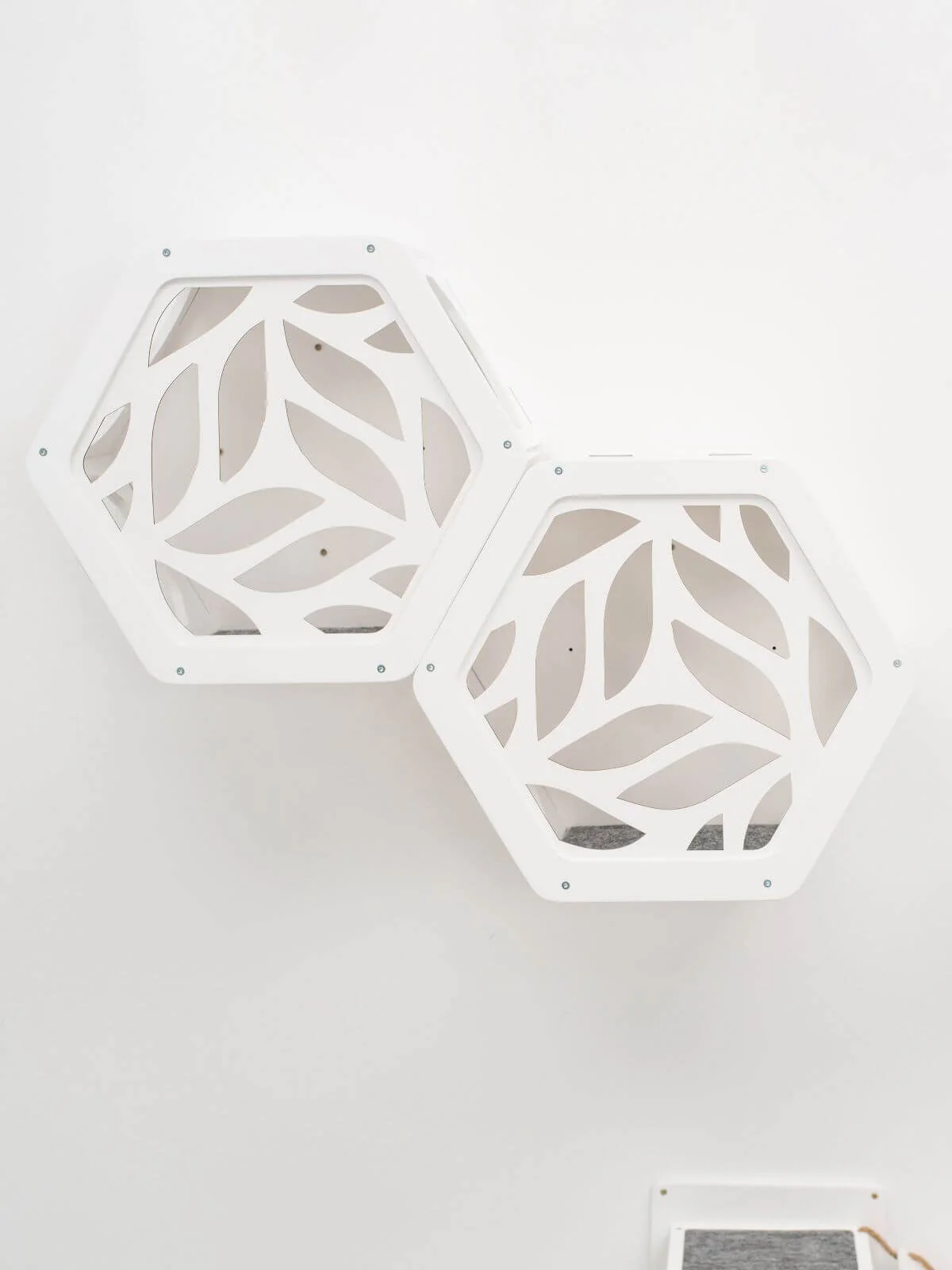 Wooden and Acrylic Frame for Hexagon