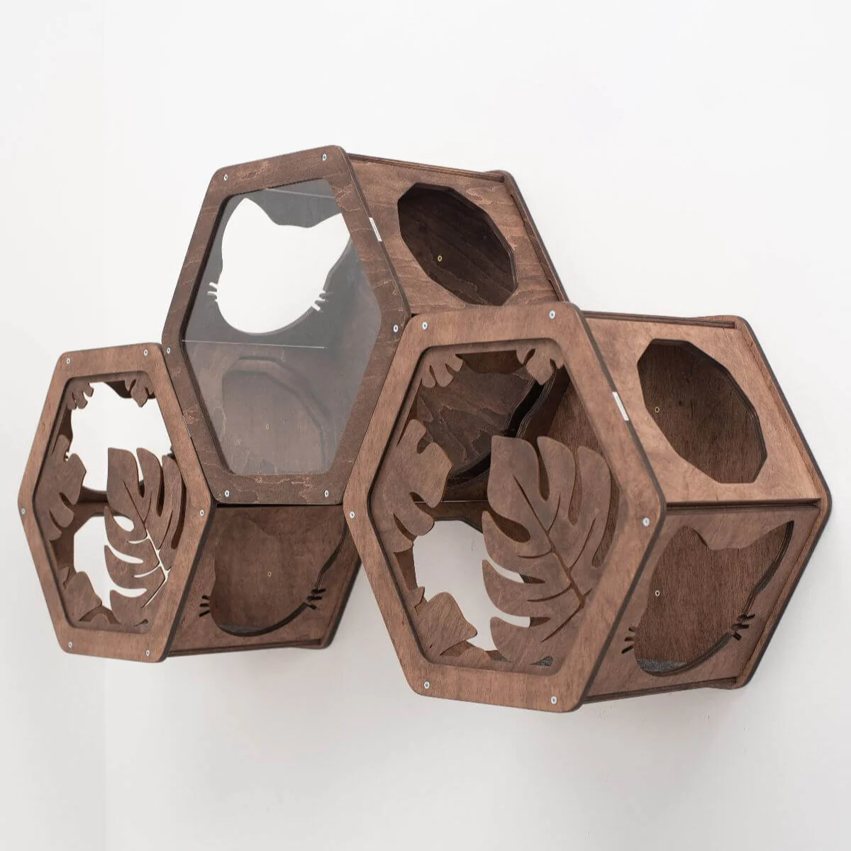 Wooden and Acrylic Frame for Hexagon - Image 5