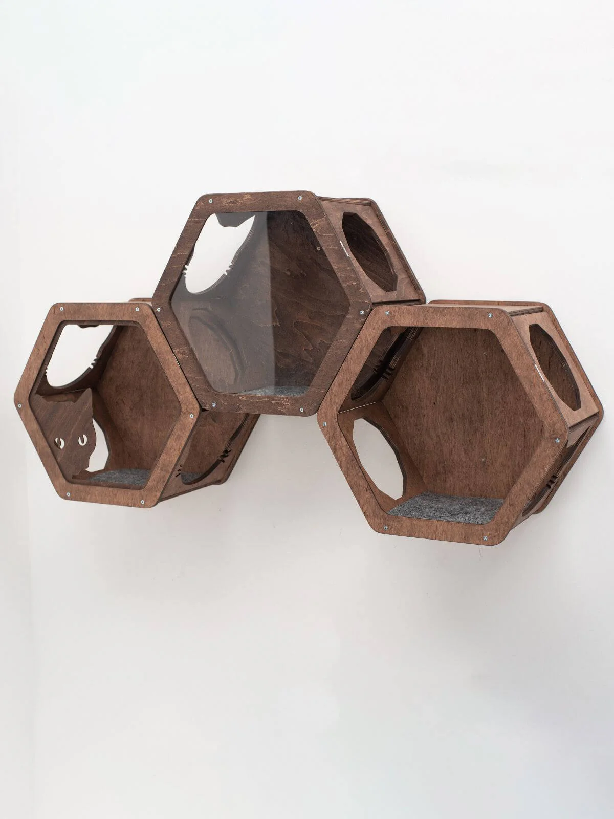 Wooden and Acrylic Frame for Hexagon - Image 6