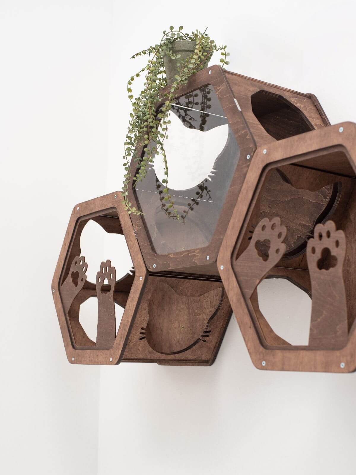 Wooden and Acrylic Frame for Hexagon - Image 8