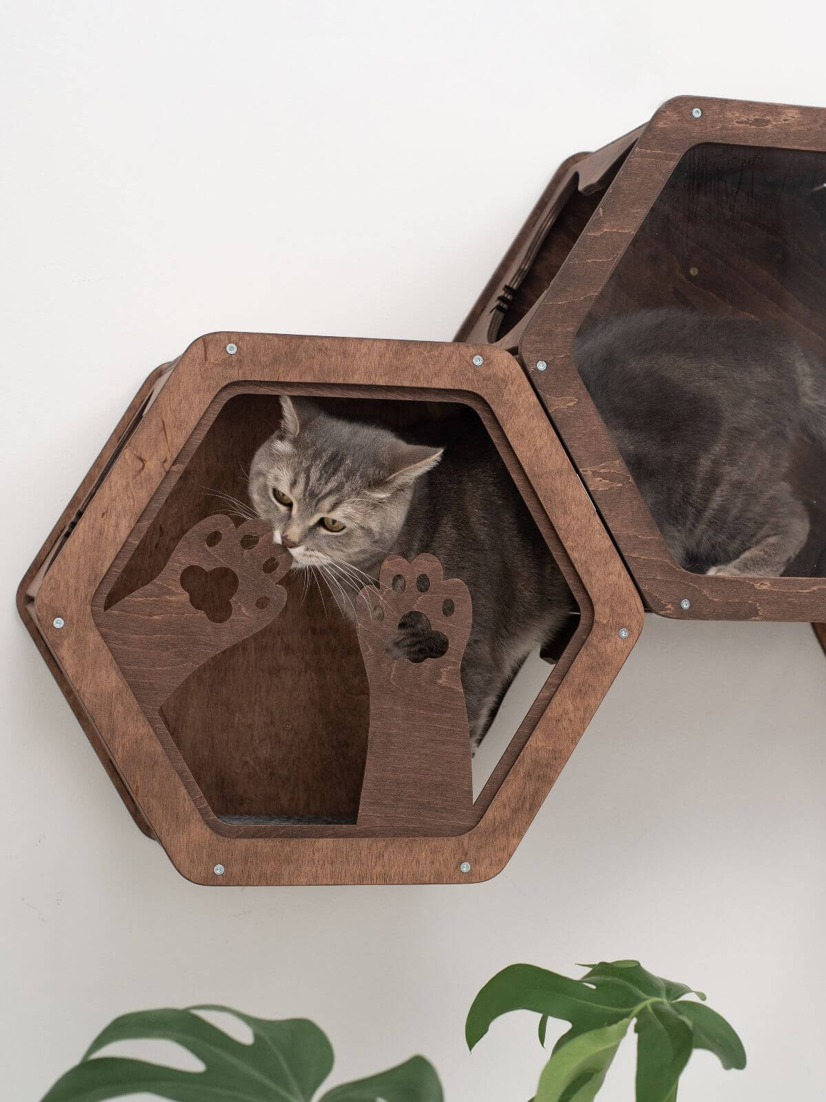Wooden and Acrylic Frame for Hexagon - Image 9