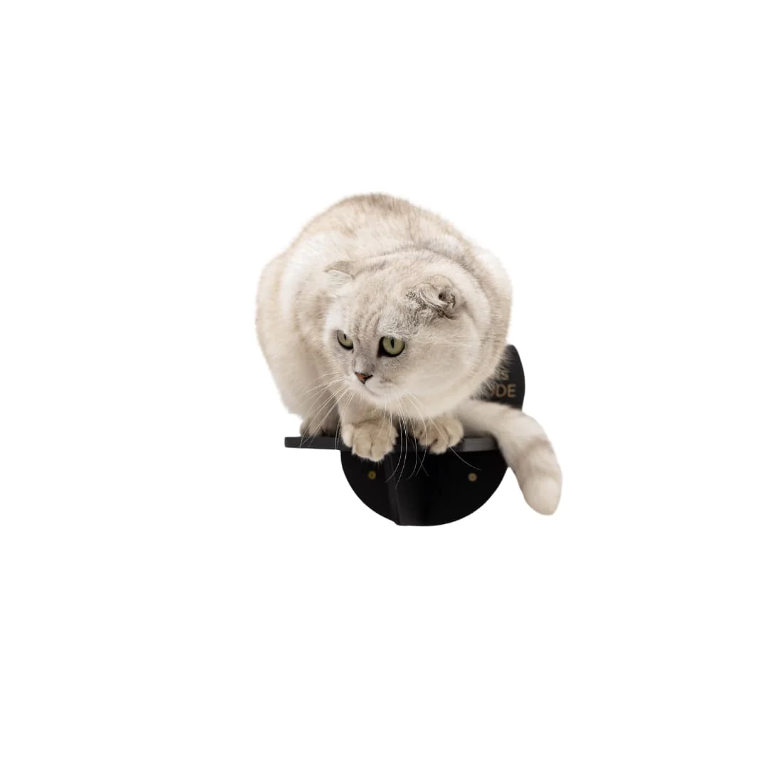 Wooden Cat Step - Black - Image 3