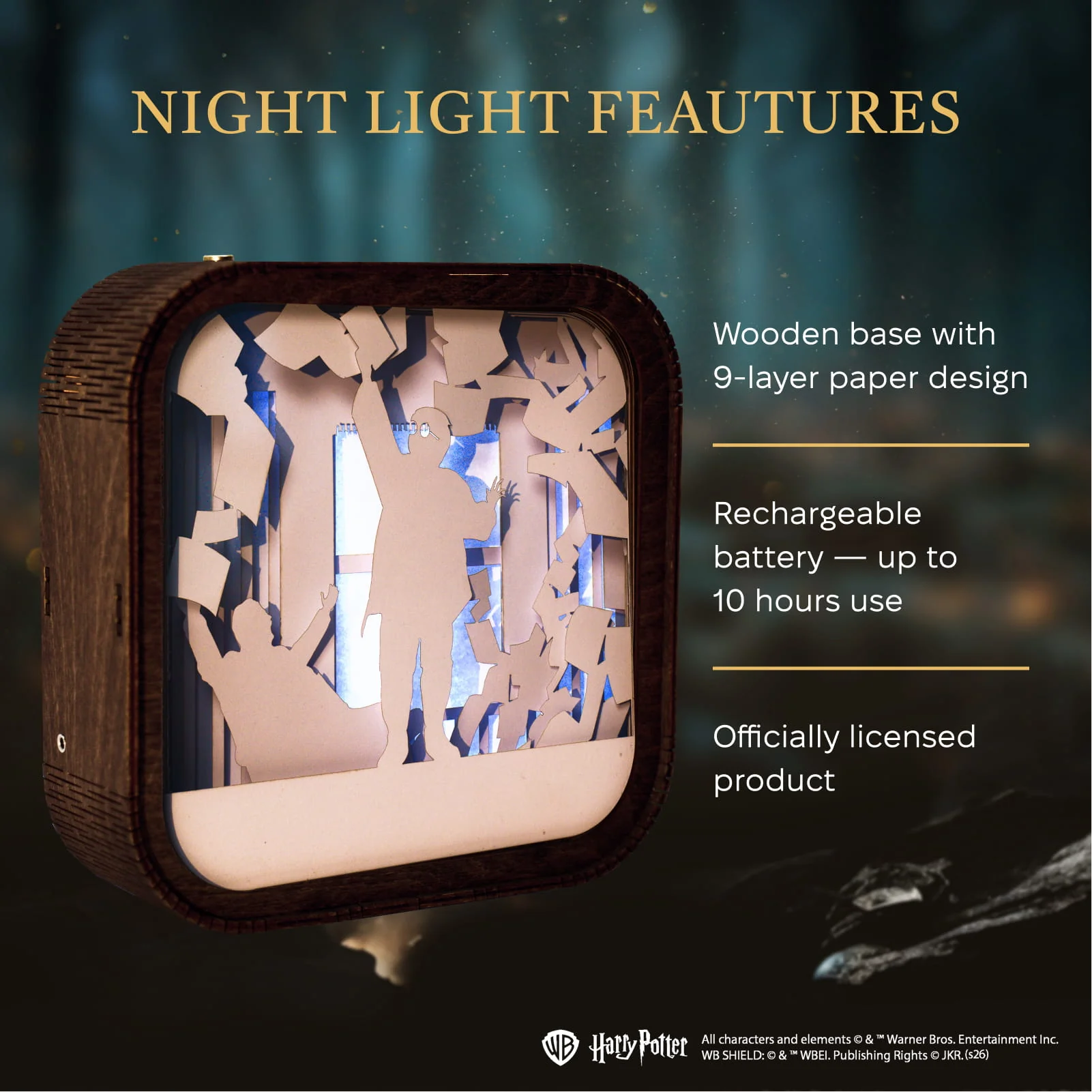 Wooden Harry Potter Night Light - No Post on Sundays - Image 15